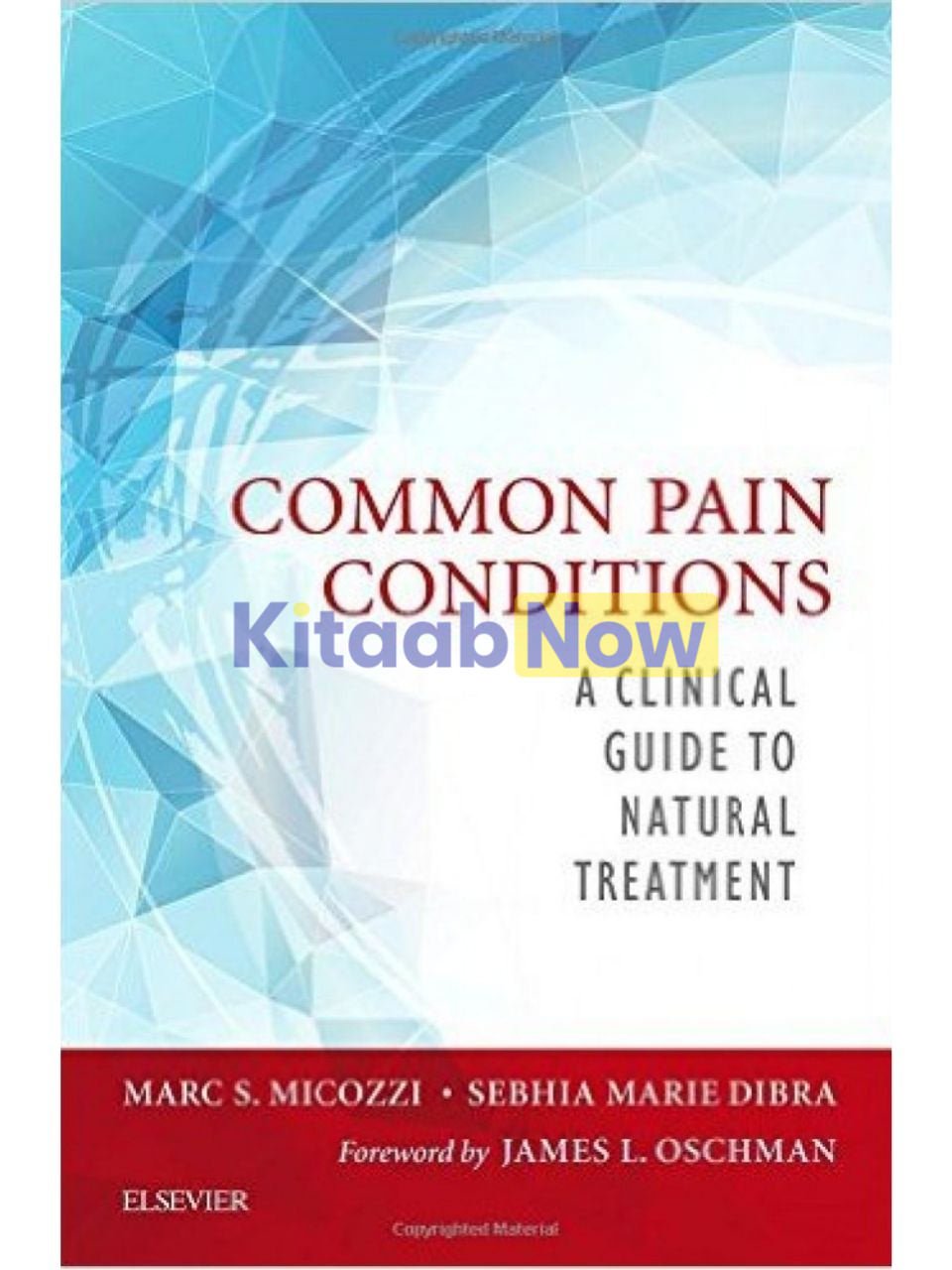 COMMON PAIN CONDITIONS: A CLINICAL GUIDE TO NATURAL TREATEMENT