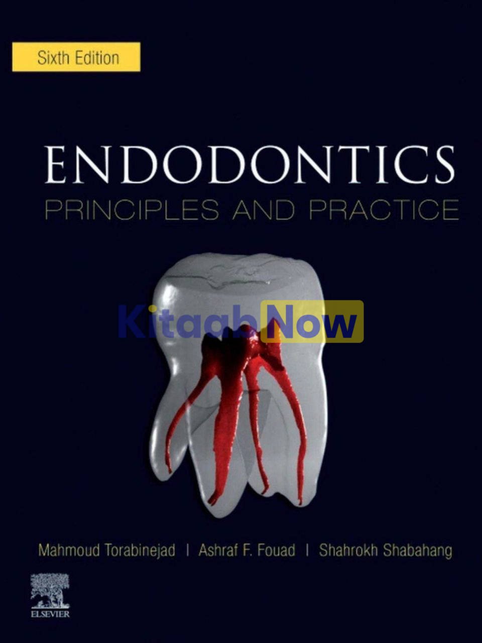 Endodontics Principles And Practice