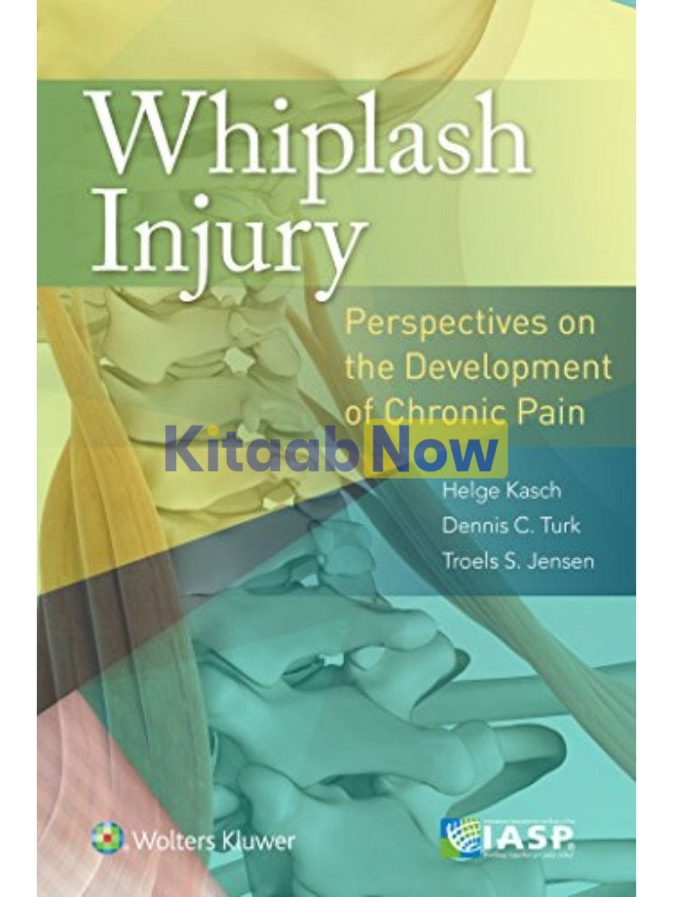 Whiplash Injury: Perspectives On The Development Of Chronic Pain