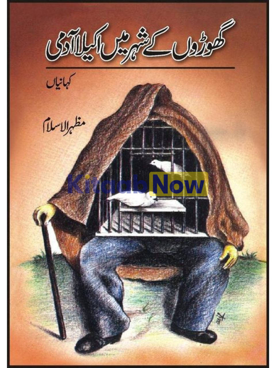  ghoron Key Shehr Main Akaila Aadmi 