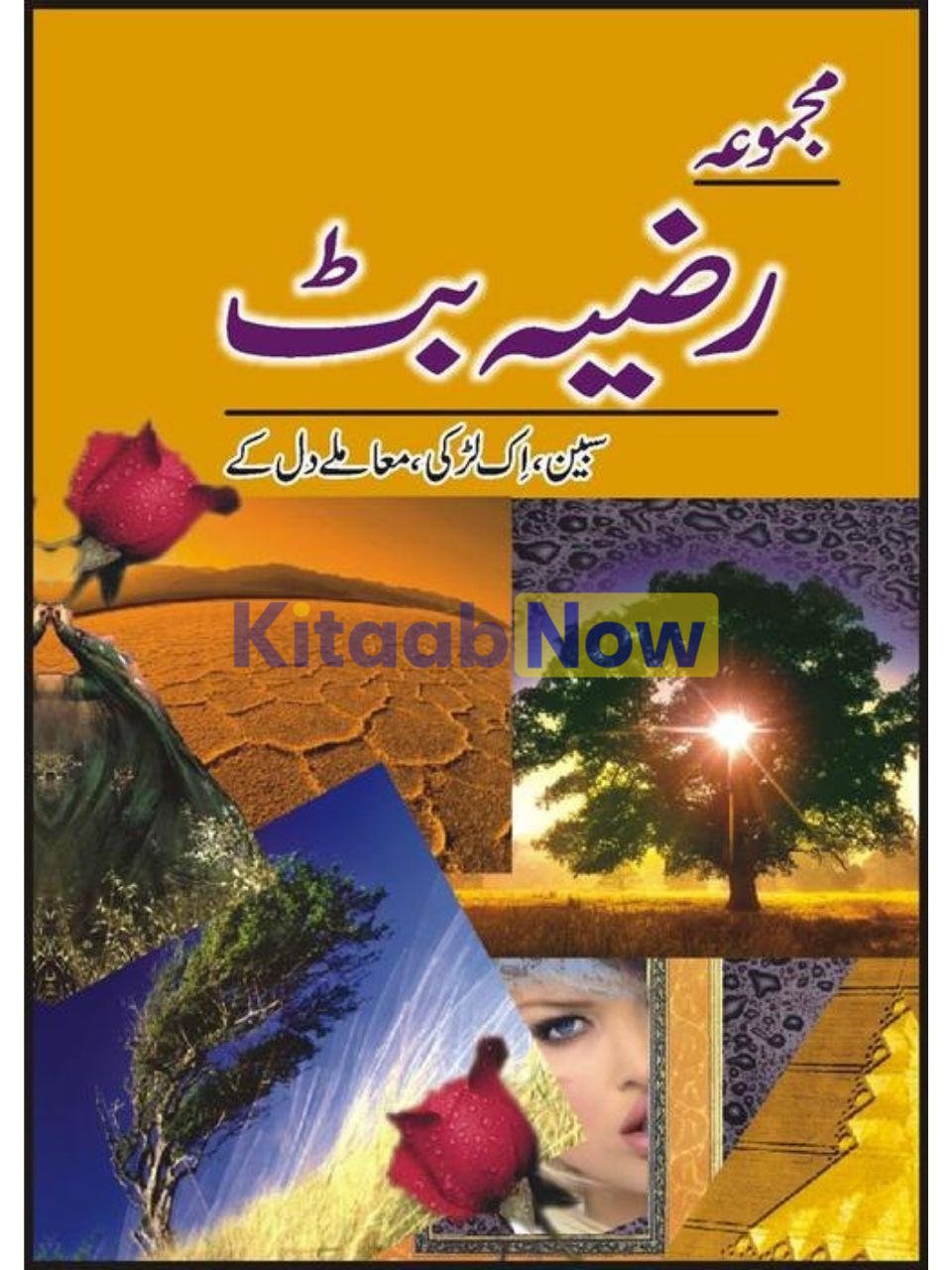 Majmua Razia Butt Sabeen