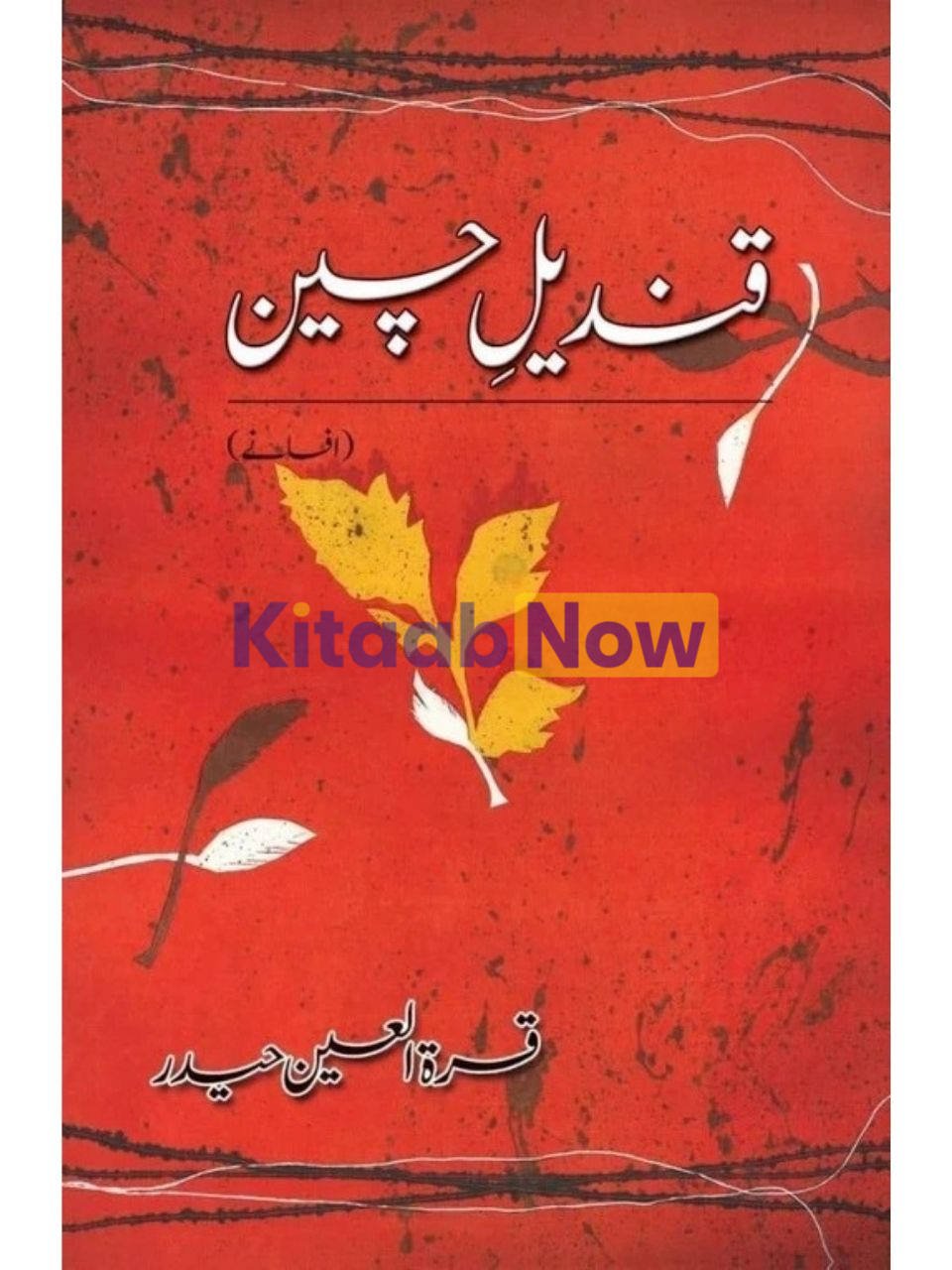 Qindeel-E Cheen 