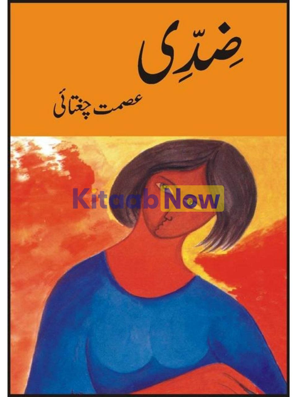 Ziddi  