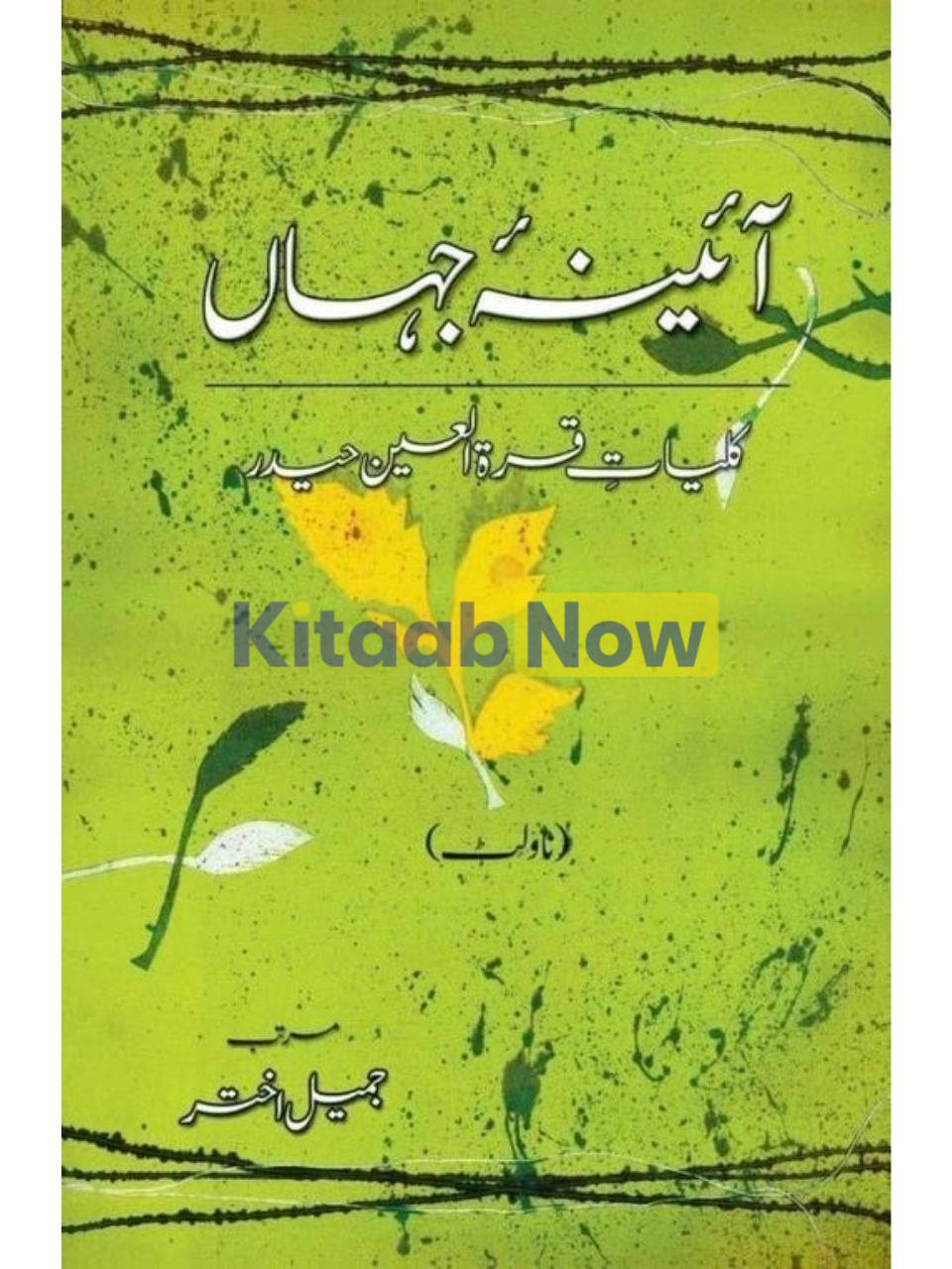 Aaina-e-Jahaan (3) - Novelette