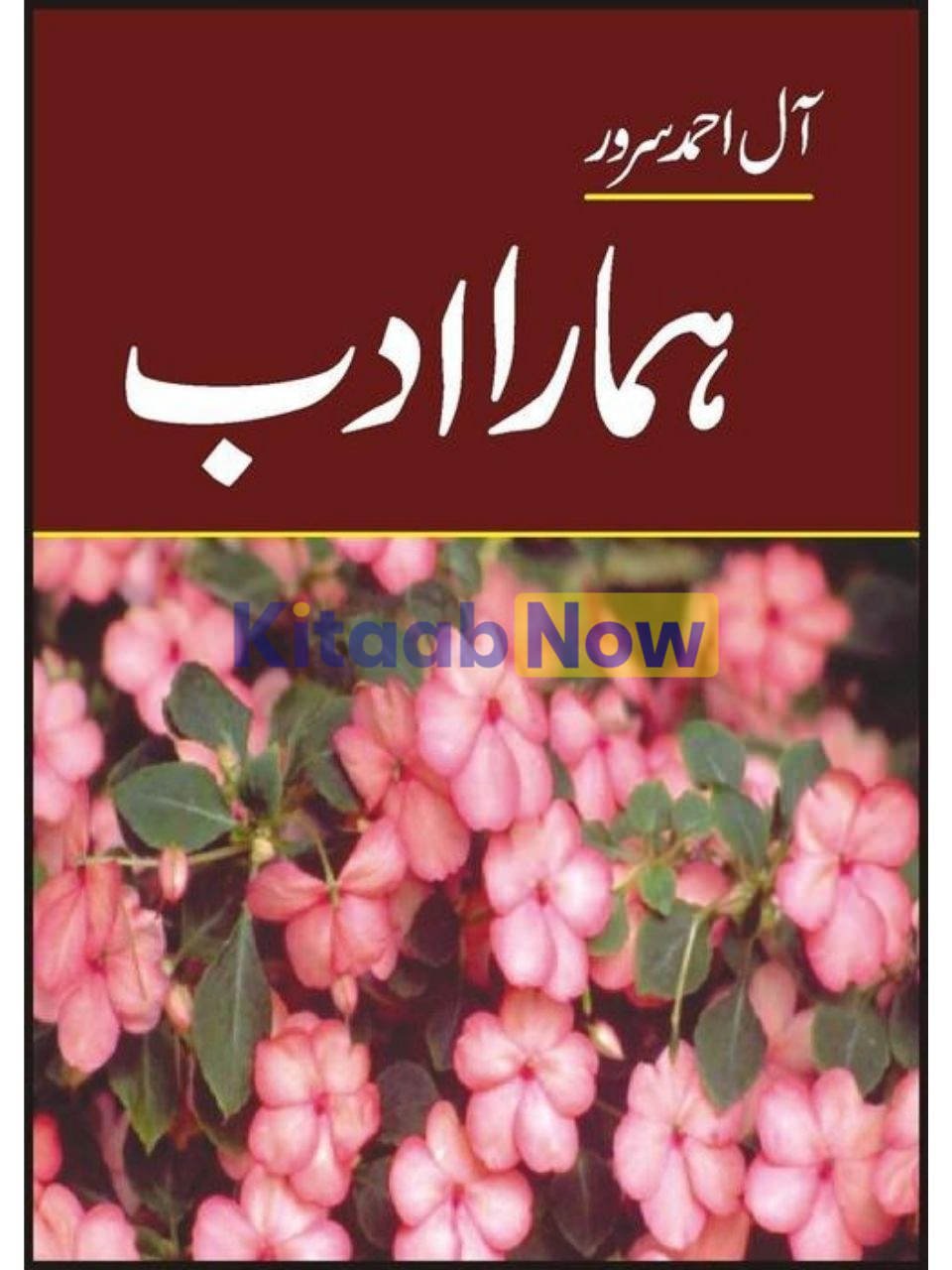Hamara Adab