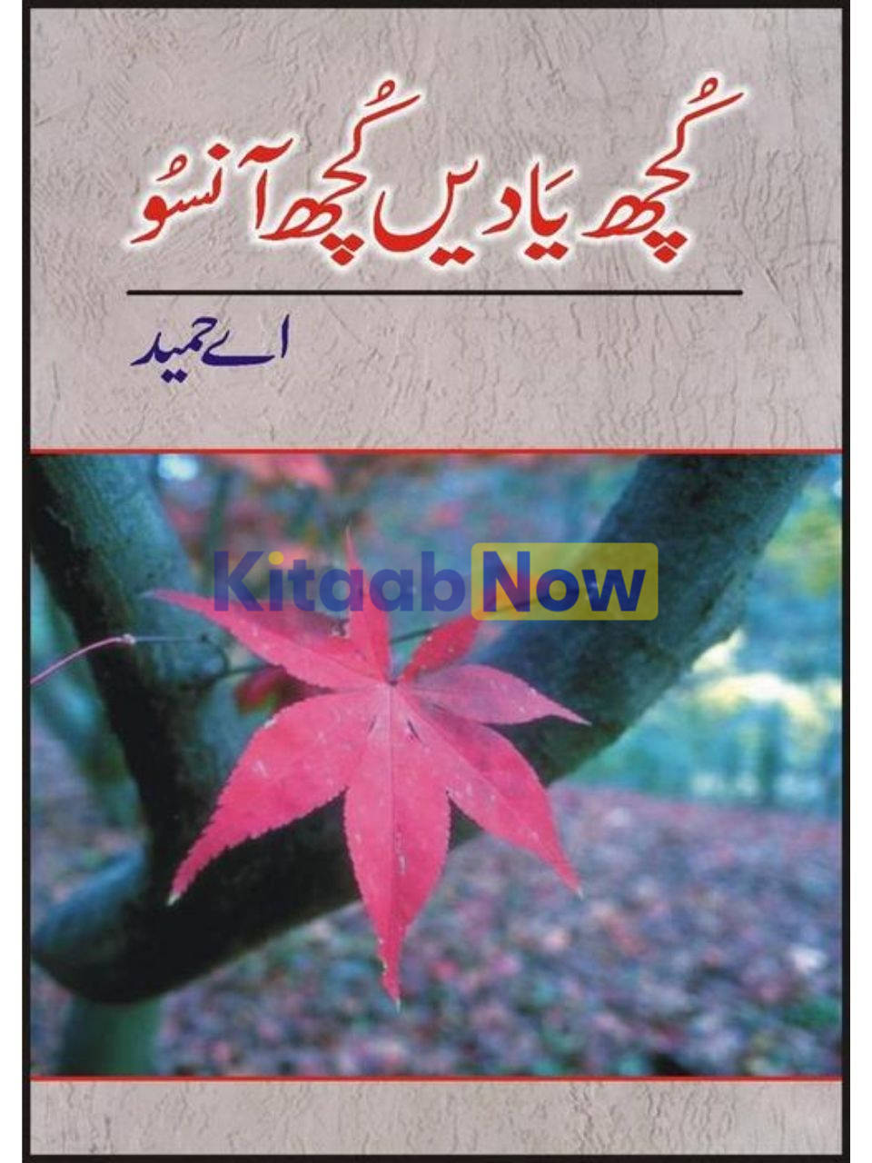 Kutchh Yaadain Kutchh Aansoo