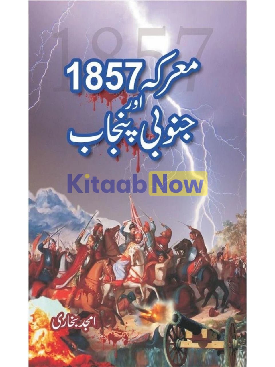 Ma'Arka 1857 Aur Janoobi Punjab