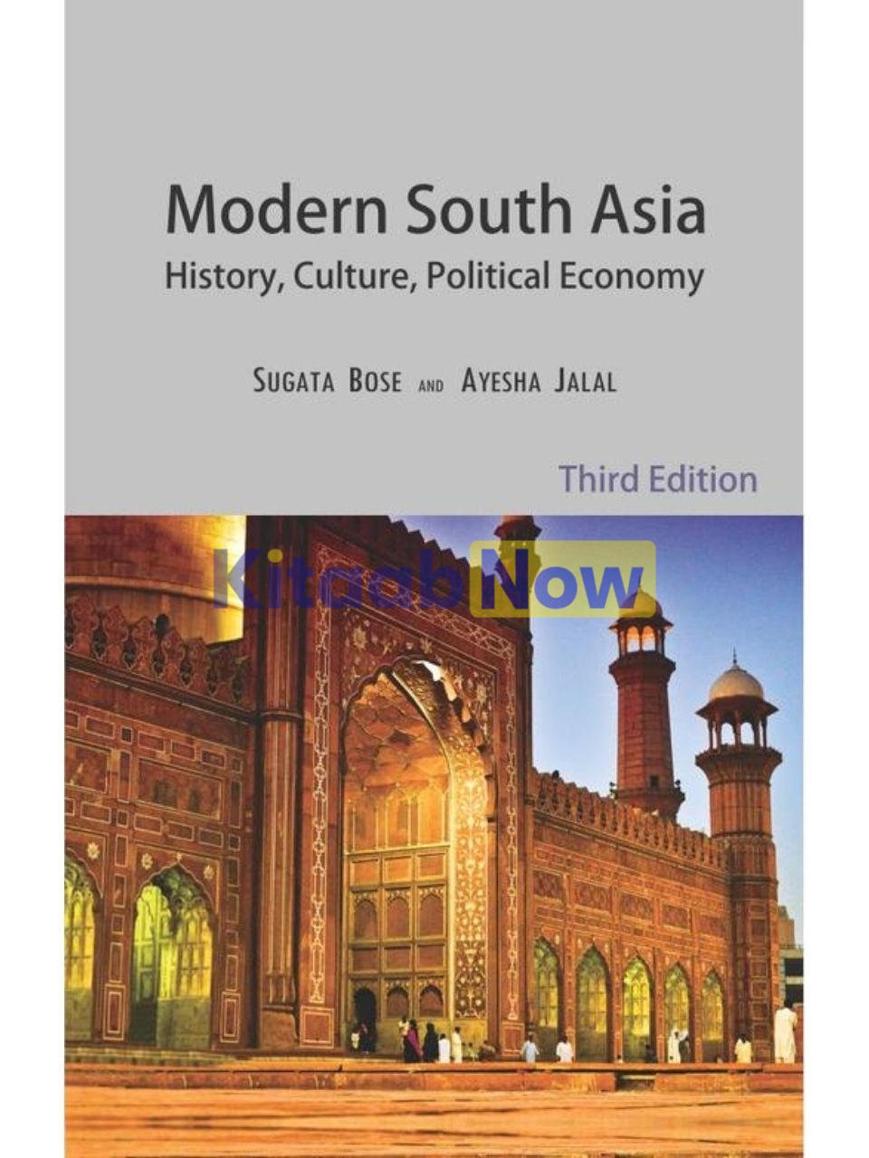 Modern South Asia: History, Culture, Political Economy 