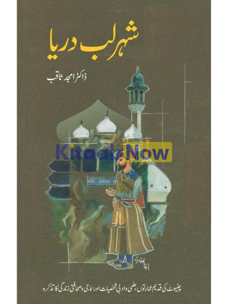 Shaher Lab-I Darya: Chiniot Ki Qadeem Emarton