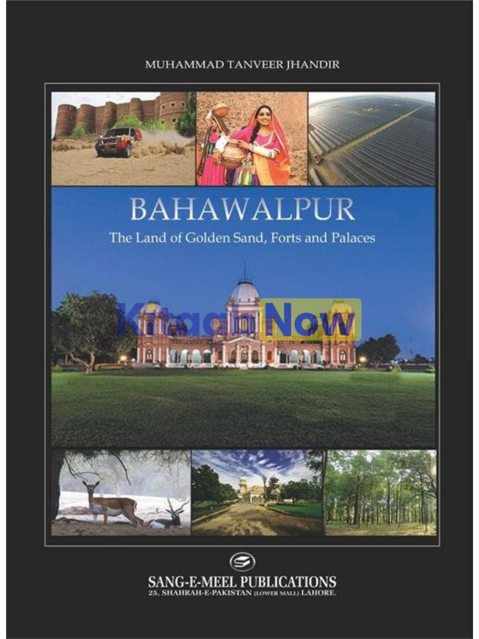 Bahawalpur: The Land Of Golden Sand, Forts 