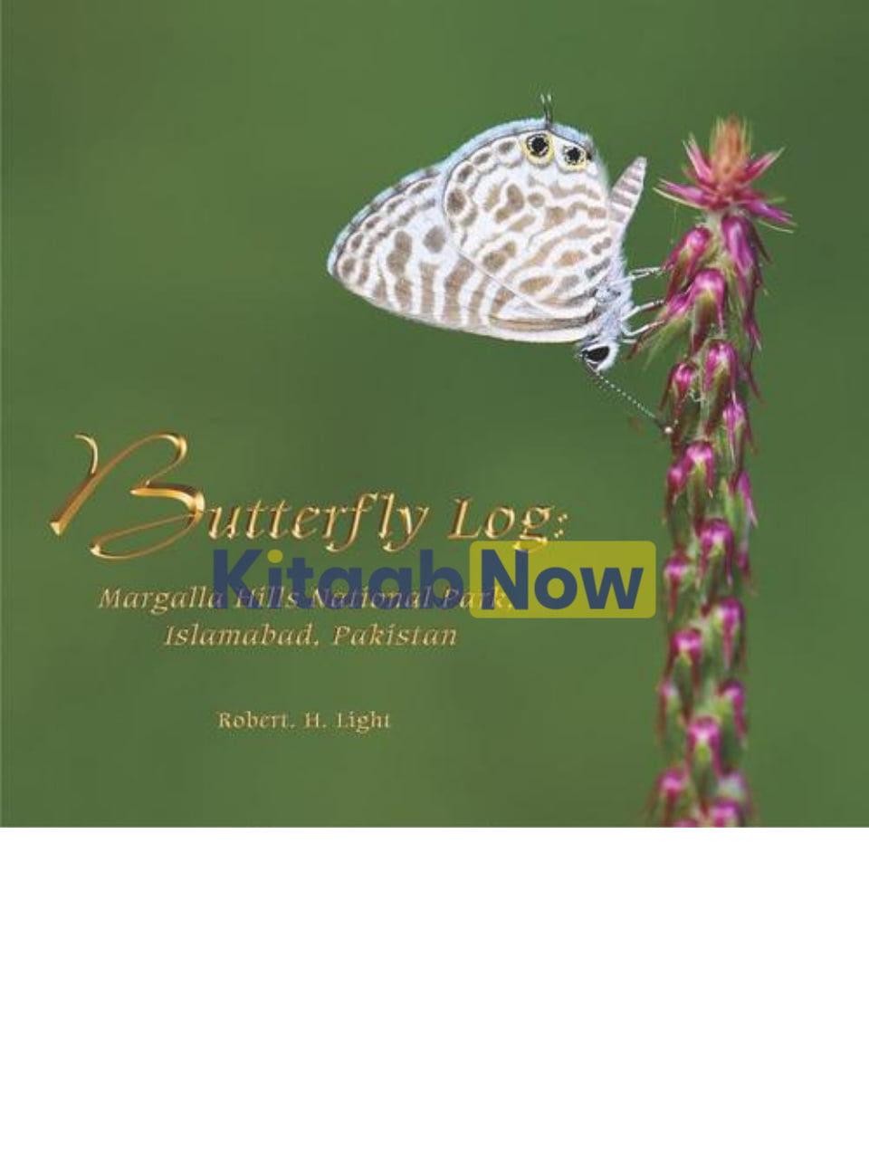 Butterfly Log: Margalla Hills National Park 