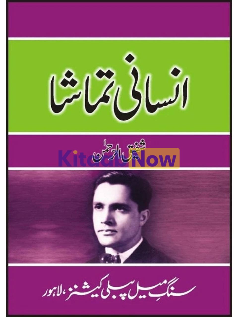 Insanee Tamaasha 