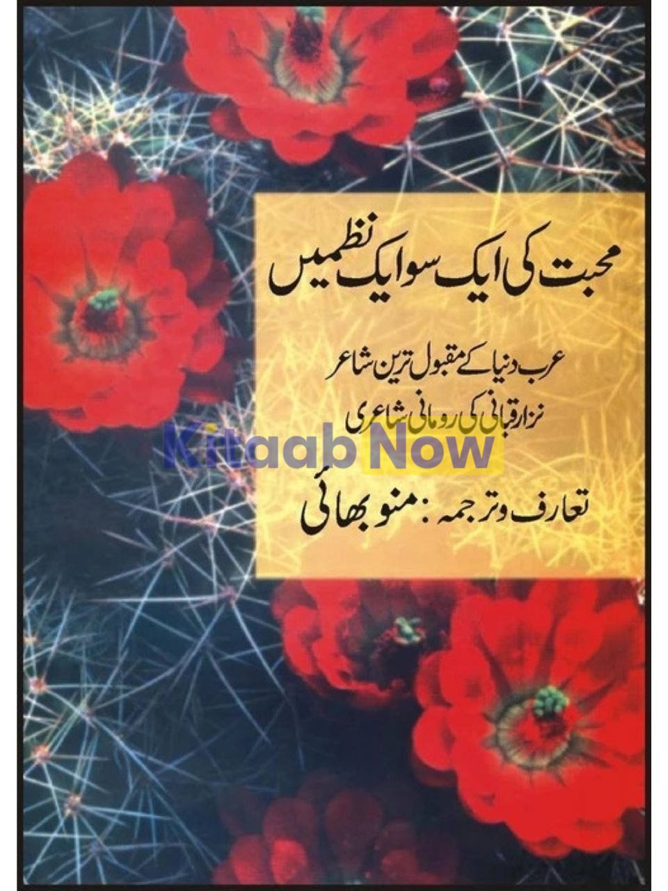 Muhabbat Ki Aik So Aik Nazmain 