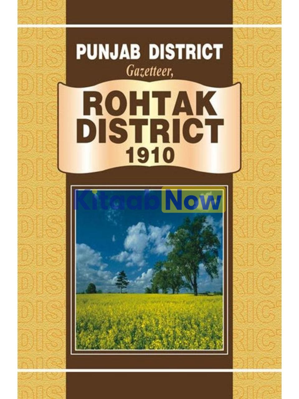 Punjab District Gazetteer,Rohtak District 1910