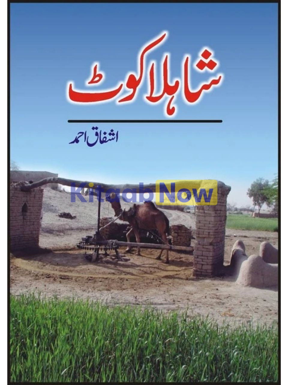 Shahla Kot 