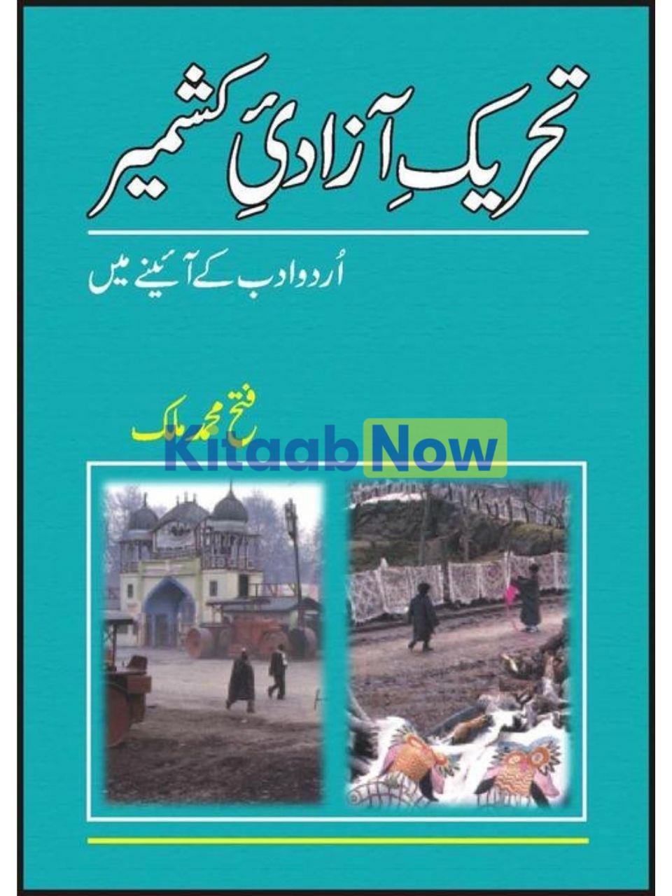 Tehreek Azadi Kashmir,Urdu Adab Kay Aienay Main