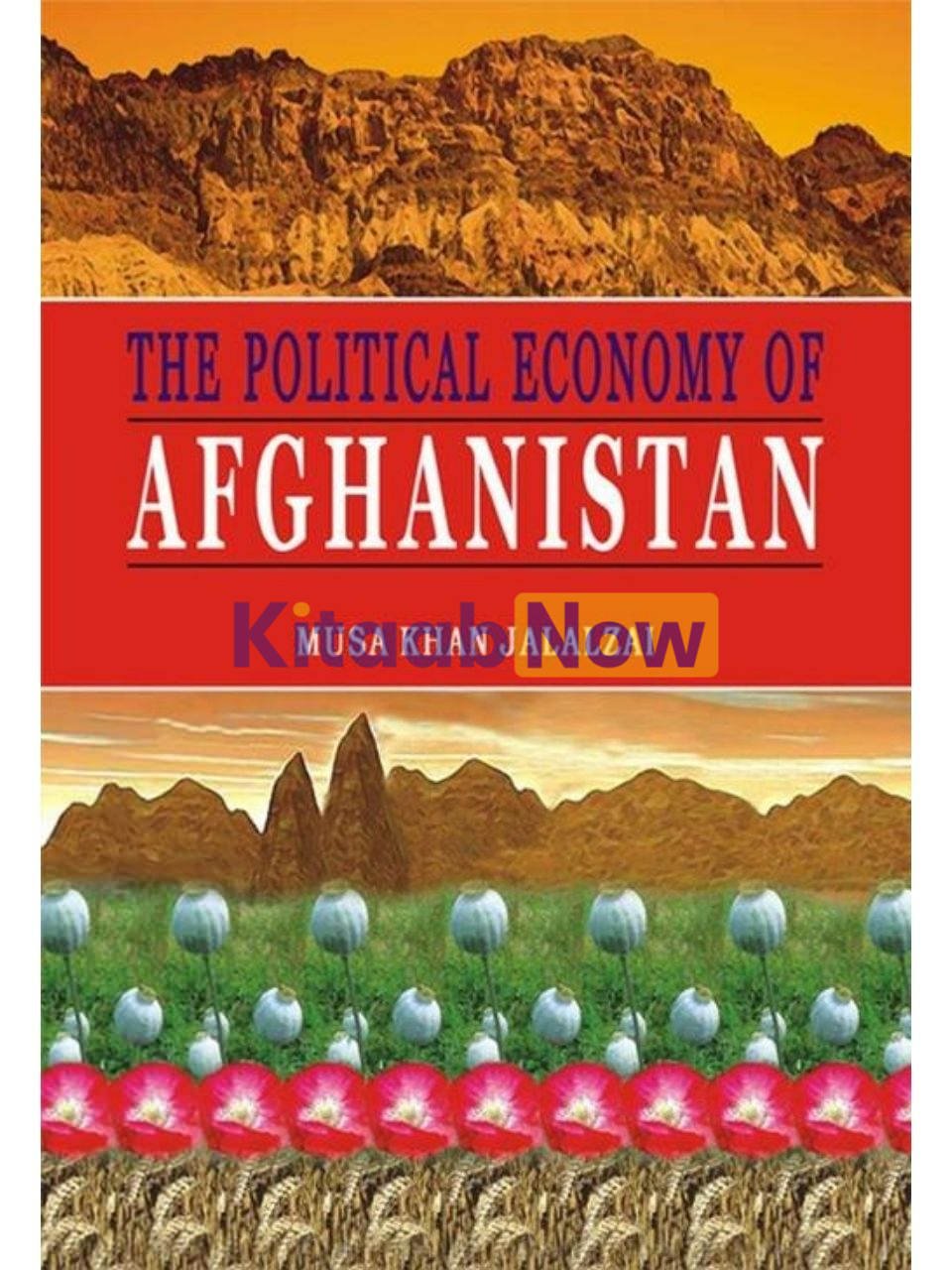 The Political Economy Of Afghanistan 