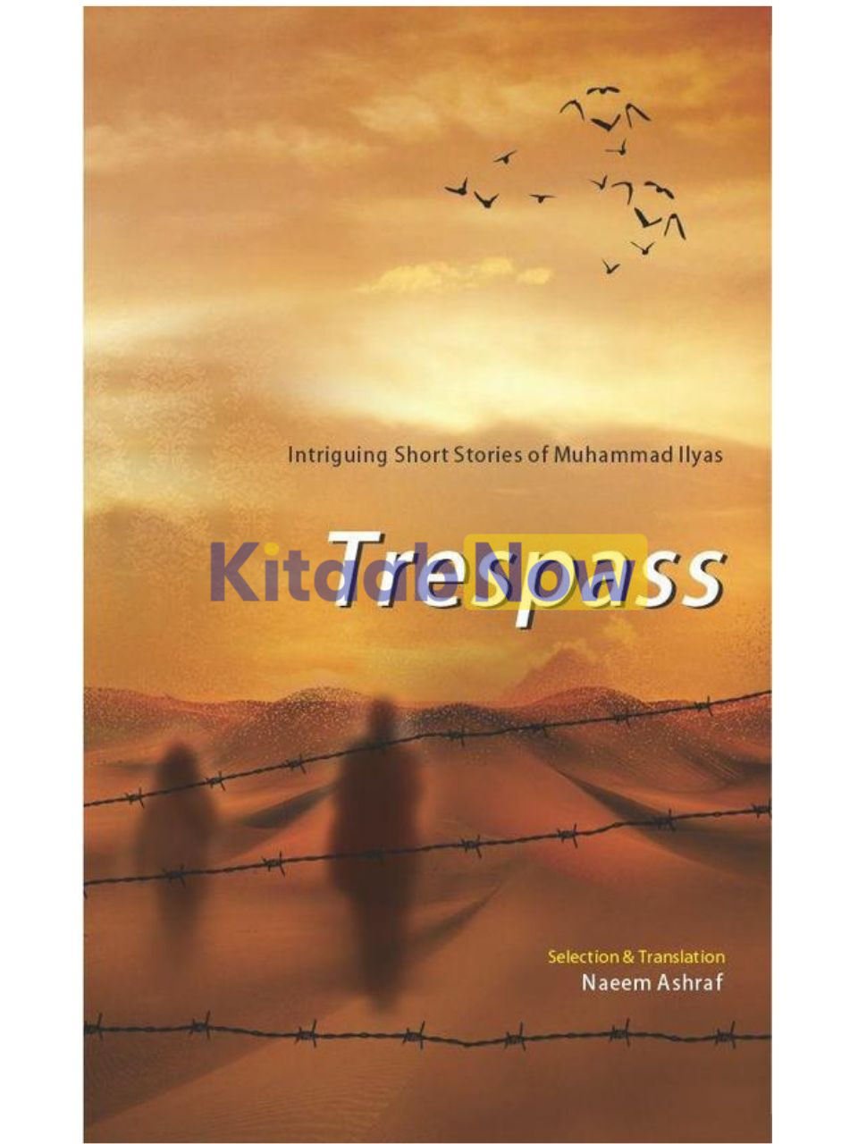 Trespass: Intriguing Short Stories Of M Ilyas 