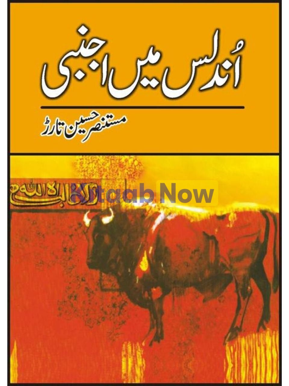 Undalis Main Ajnabi 
